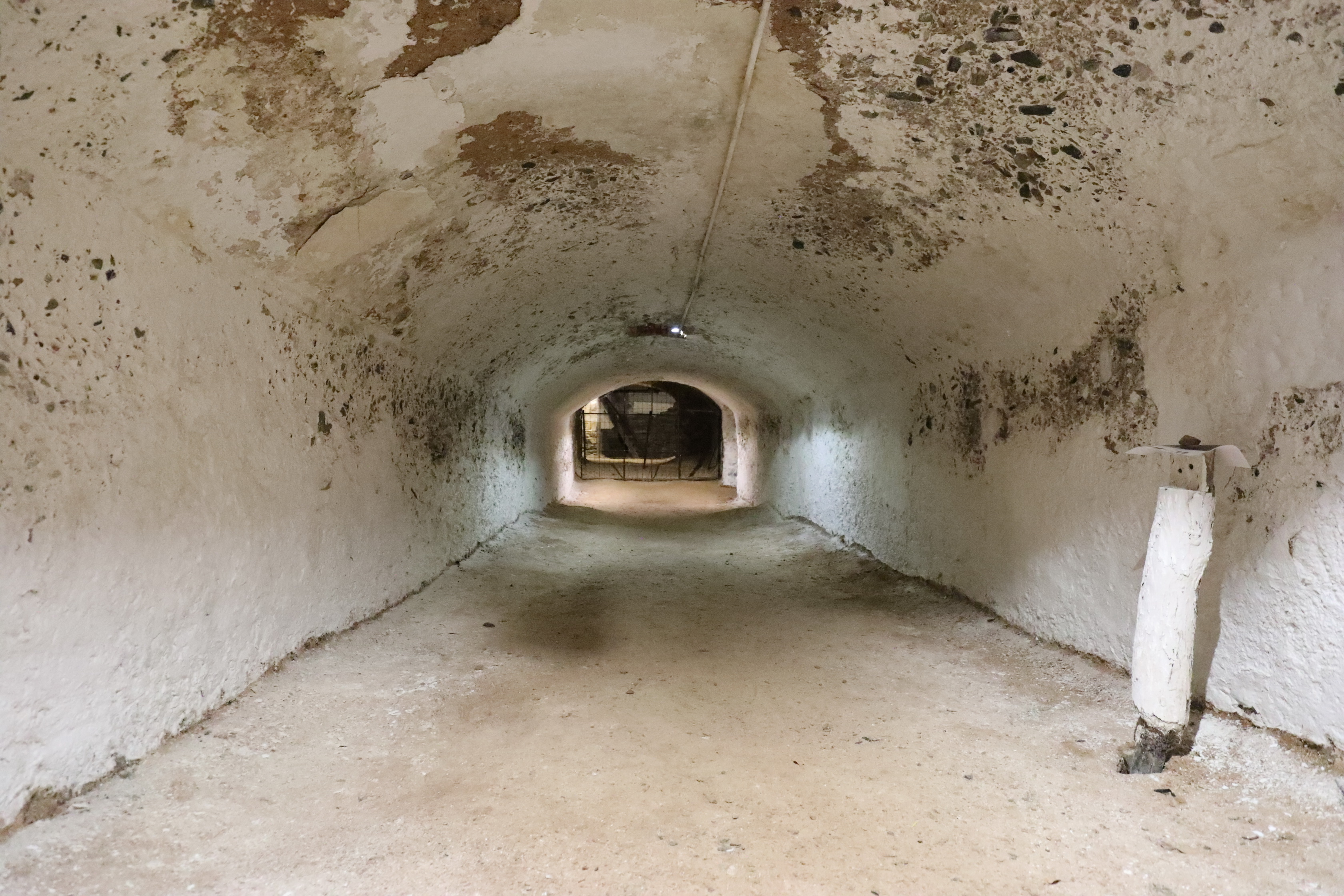 2019 08 31 10 00 05 Canon EOS 5D Mark IV 0033